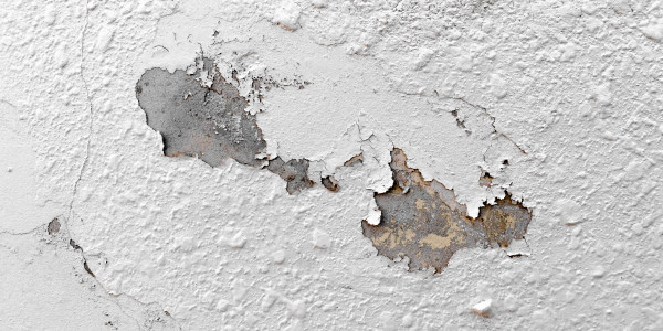 Pintar Fachadas de Naves Industriales, Fábricas y Almacenes en Tarragona · Pintura Antihumedad / Antimoho para Humedades / Moho