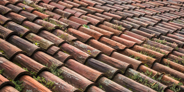 Rehabilitación y Restauración de Fachadas en Tarragona · Aplicación de Recubrimientos para evitar Filtraciones y Humedad en Tejados / Fachadas